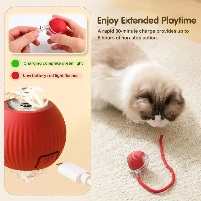 ScurryTail Pet Ball