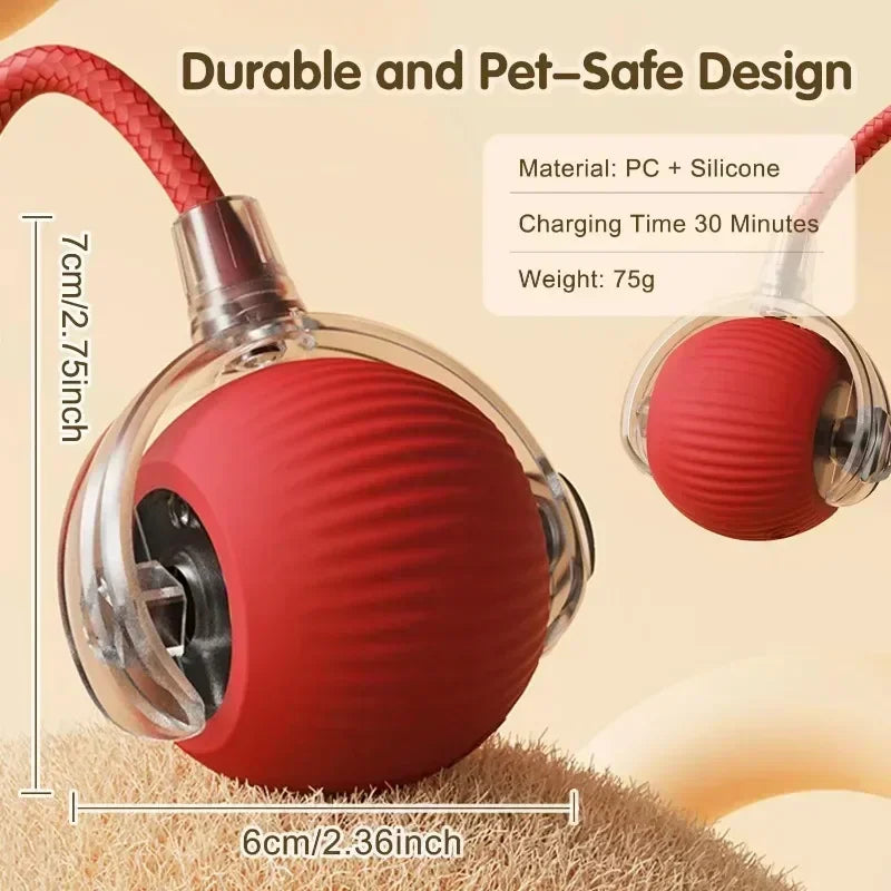 ScurryTail Pet Ball