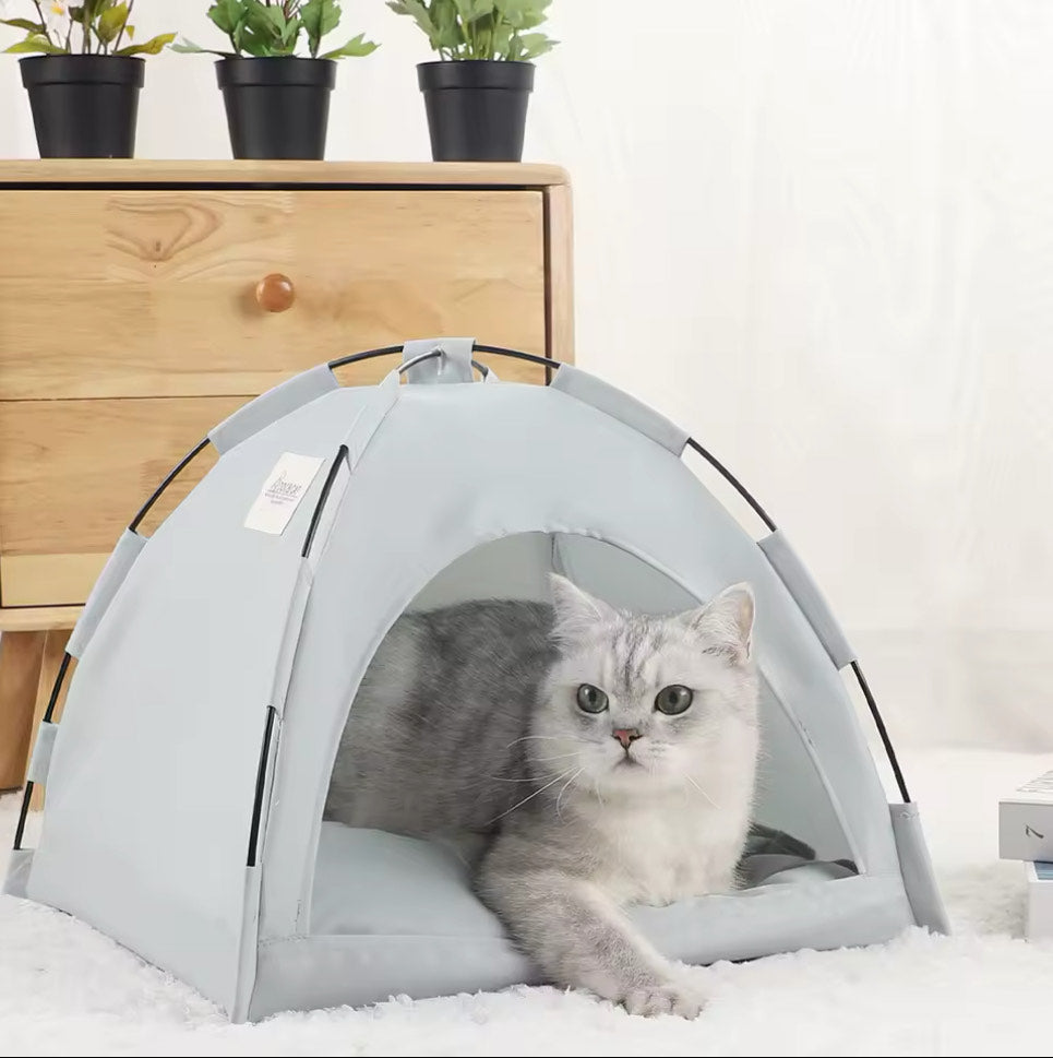 Adventure Tent