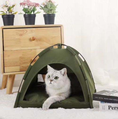Adventure Tent