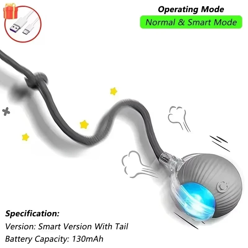 ScurryTail Pet Ball